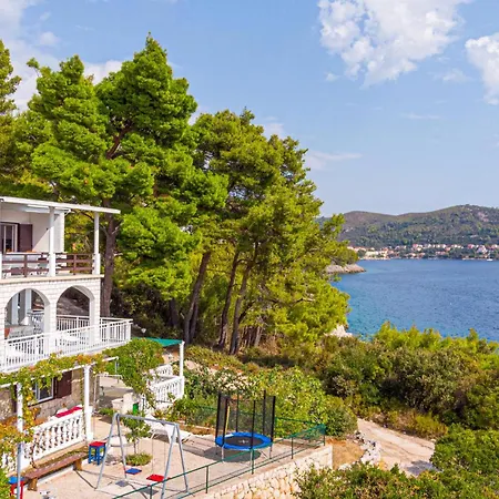 Vinacac Bb Iii * Prizba